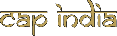 CAP INDIA Logo